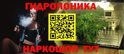 ПСИЛОЦИБИНОВЫЕ ГРИБЫ Берёзовский