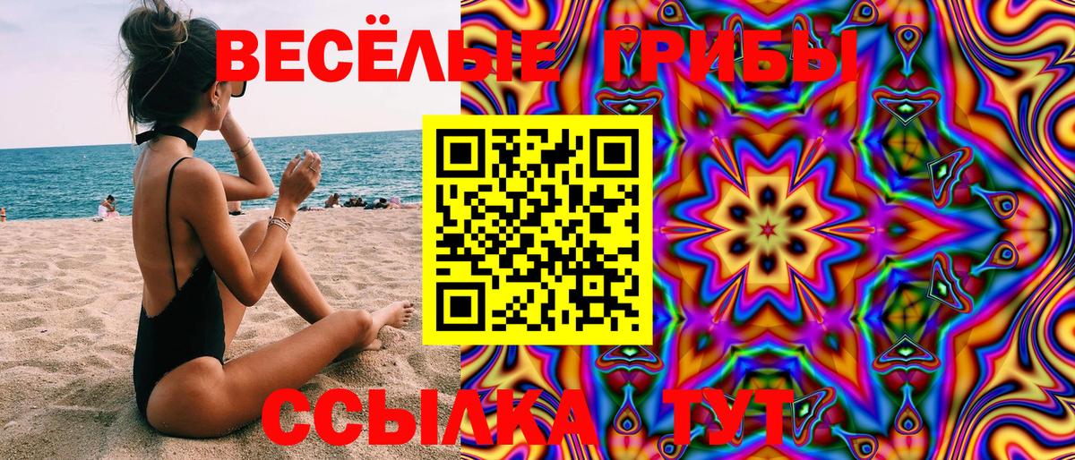Галлюциногенные грибы Psilocybe Вятские Поляны