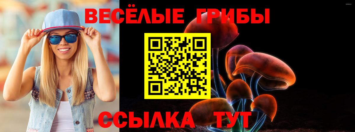 Псилоцибиновые грибы MAGIC MUSHROOMS  Вход с VPN  Вятские Поляны 